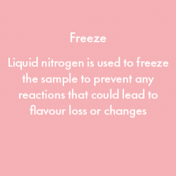 Liquid nitrogen is used to freeze the sample to prevent any reactions that could lead to flavour loss or changes