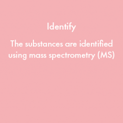 The substances are identified using mass spectrometry (MS)