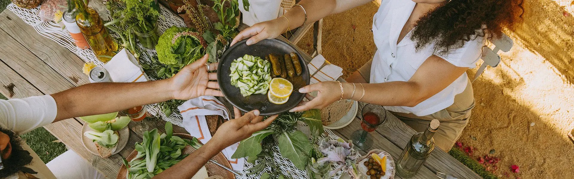 Outdoor lunch with friends