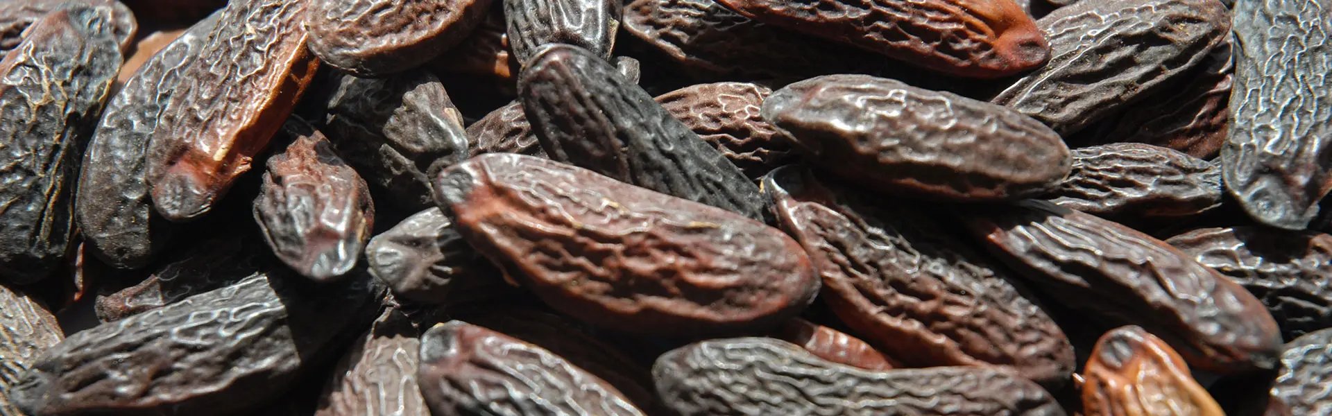 Tonka beans