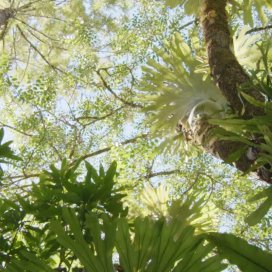 instagram post At Givaudan, we believe t