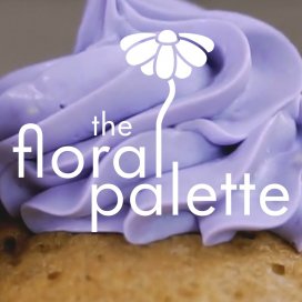 instagram post Spring is just around the